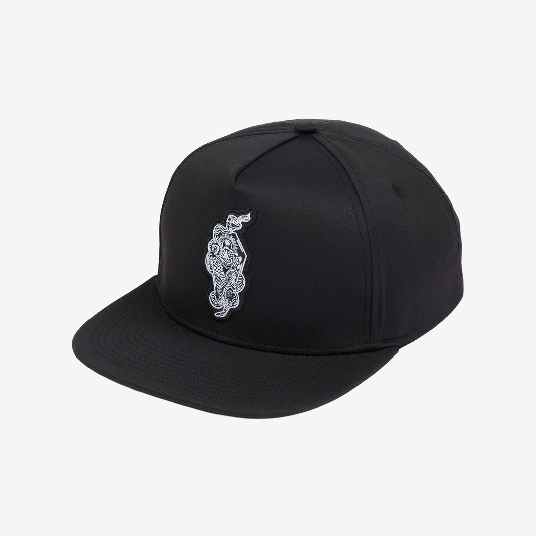 Age Of Winters Snapback Hat