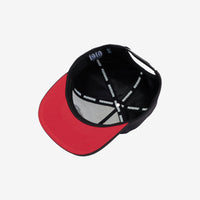 Eagles Never Die Snapback Hat